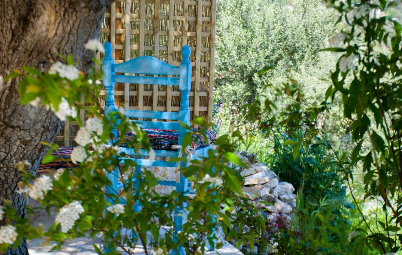 The Olive Cottage - Ithaca Vathy  Exterior foto